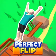 Perfect Flip